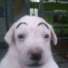 Guest_xisssssss