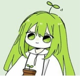 Guest_PickleJuice43