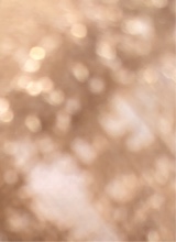 Guest_rasha14