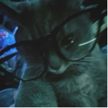 T1dd3s