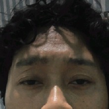 Guest_winbudi