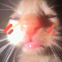 Guest_Iggywavy