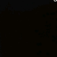 nadgi