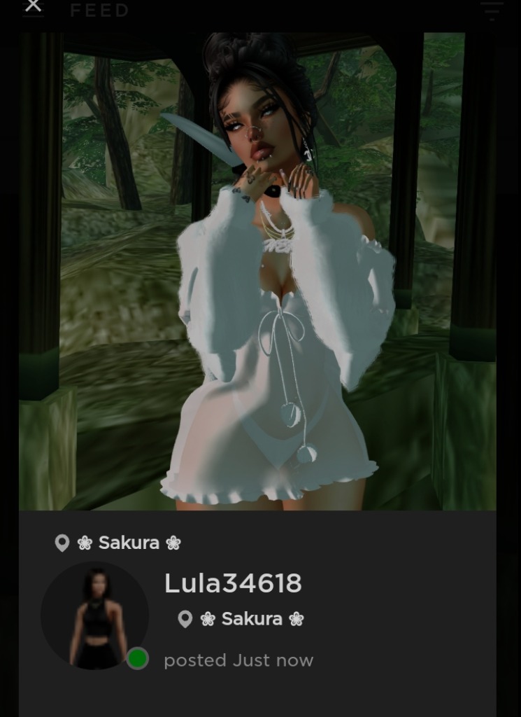 Guest_lula34618