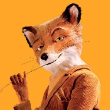 foxxttrot