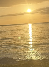 Guest_JoAnn49