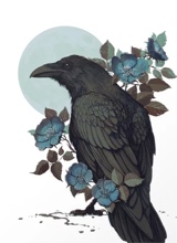 Raven524534