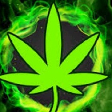 Guest_ugliestdollarbila621