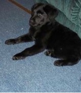 Guest_Jake797336