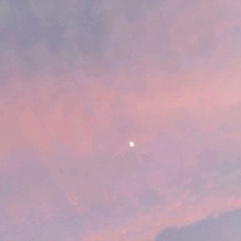 Guest_Kymarie9