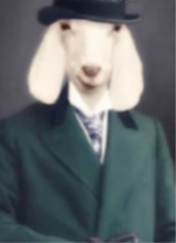 Guest_Zeitdruck