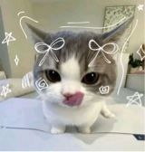 bxxch