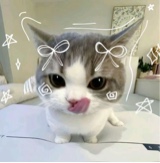 bxxch