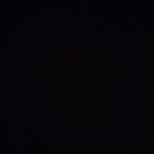 Guest_shani1