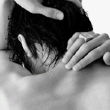 immagine avatar