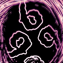 FrankOmnia