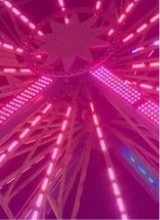 Guest_kayla729371