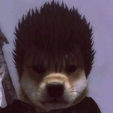 Guest_kodazin