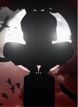 immagine avatar