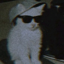 Guest_LucaLkl