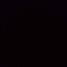 Guest_AneVidal23