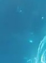 Guest_BlueFox9