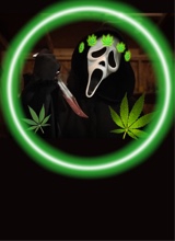Guest_420Stoner4201