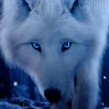xXSammyNightWolfXx