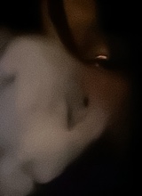 FLOCKO