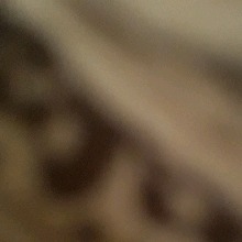 Guest_Jt233485