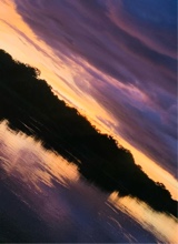Guest_HERNANDO11