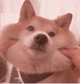 Mugie