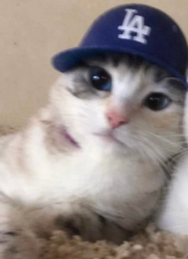 bastardo