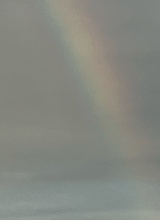 Guest_ZaraWilson1