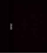Guest_Tobvc