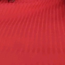 Guest_MariaTeixeira2