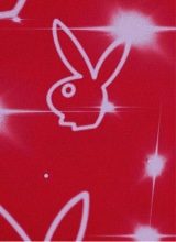 Guest_OnlyBri4