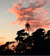 Guest_Sky25196