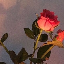 Guest_LisaLove35