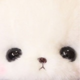 Guest_Miagrrr