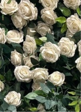 Guest_Juwely