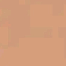 Guest_ARIZONA26