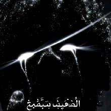 QRaizel