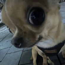 Guest_yJenni28