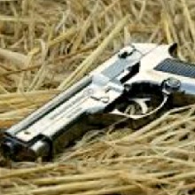 Guest_Mafiaboss20