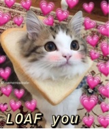 Guest_Dianaaaaaaaaaa