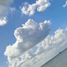 Guest_JJCool33