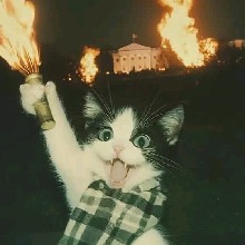 NIAYEAH