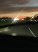 Guest_Mya963678