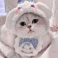 Guest_JennyKim25